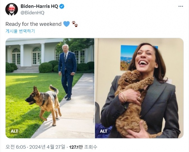 조 바이든 미국 대통령 - 카멀라 해리스 부통령 캠프가 운영하는 X(옛 트위터) 계정에 지난 27일 올라온 게시물. 주말을 준비한다는 문구와 함께 강아지들과 친근하게 어울리는 두 정치인의 모습이 담겼다. SNS 캡처