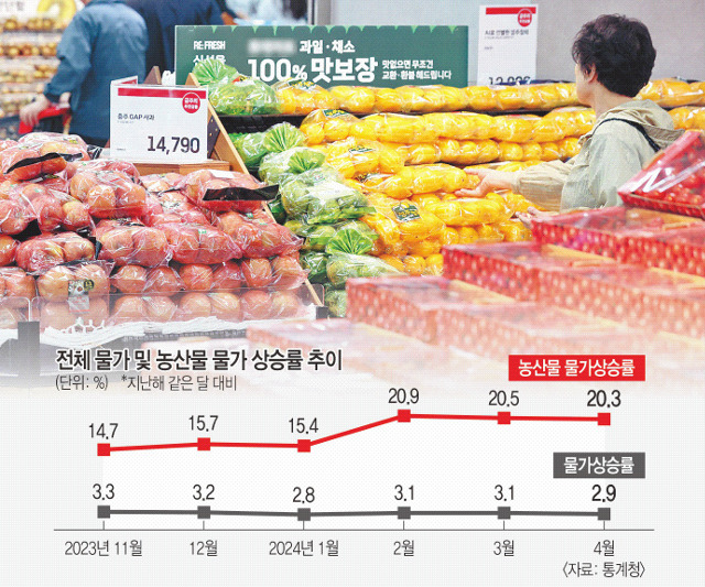 한 소비자가 2일 서울의 한 대형마트 과일 코너에서 참외를 살펴보고 있다. 이날 통계청에 따르면 지난달 소비자물가 상승률은 2.9%로 3개월 만에 2%대로 내려왔지만 과일을 비롯한 농산물은 20.3%가 올랐다. 연합