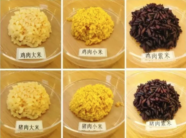 중국 연구진이 개발한 닭고기쌀과 돼지고기쌀. 바이두