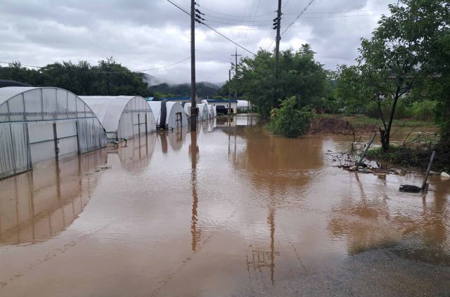 10일 새벽 충청권에 내린 기습 폭우로 충남 논산시 양촌면의 한 비닐하우스가 물에 잠겨 있다. 연합뉴스