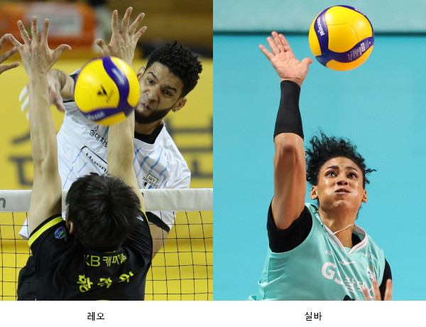‘쿠바 폭격기’ 레오·실바, V리그 대기록 보인다