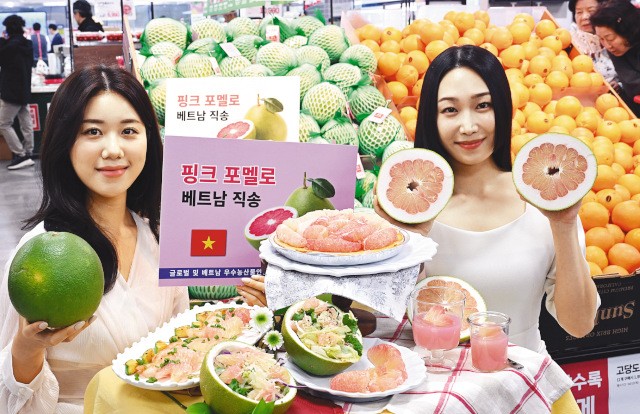 [포토] 초록 껍질에 분홍 과육 ‘포멜로’를 아시나요