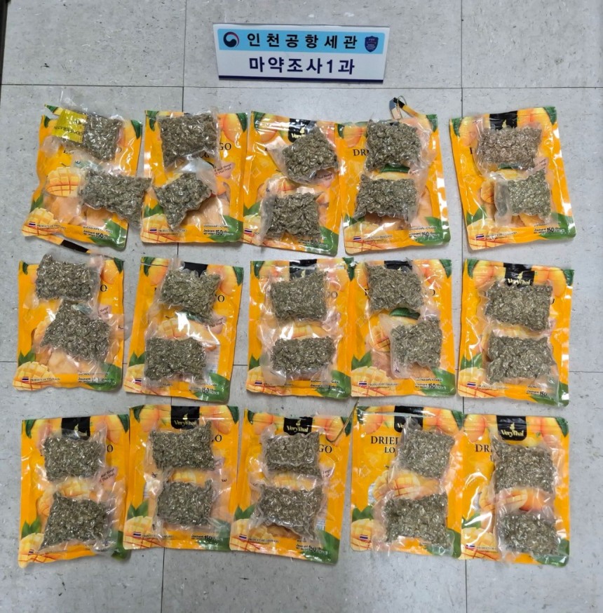 건망고 제품 포장지 안에 숨겼던 대마초.인천공항세관 제공