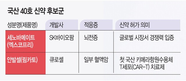 SK바이오팜 뇌전증 치료제