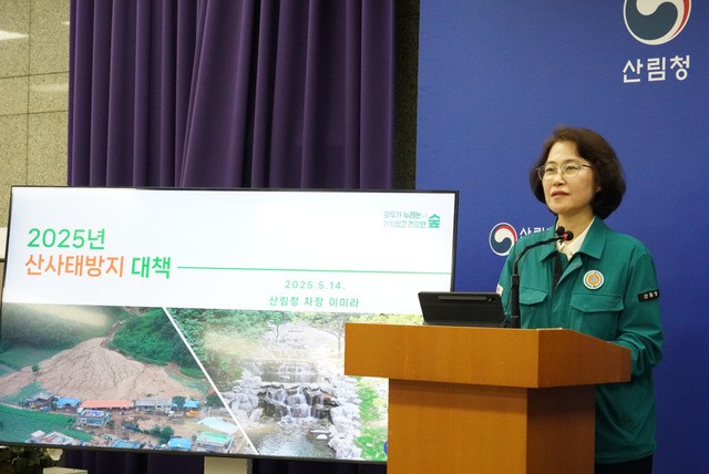 “대형 산불 피해지 집중 관리”… 산림청, 산사태 방지대책 발표