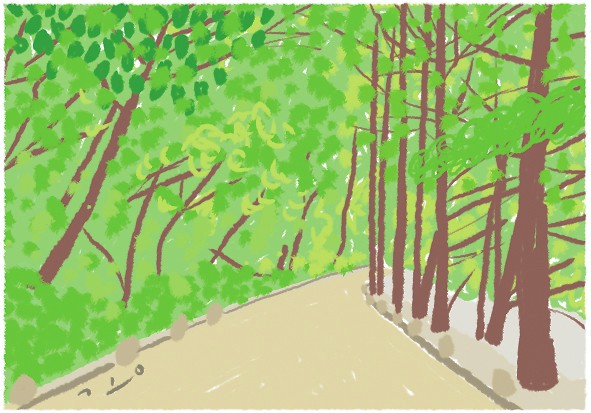 광주시, 시민 참여 ‘걷고 싶은 길’ 본격 추진
