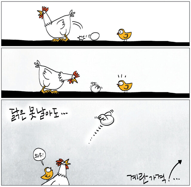 닭은 못 날아도...