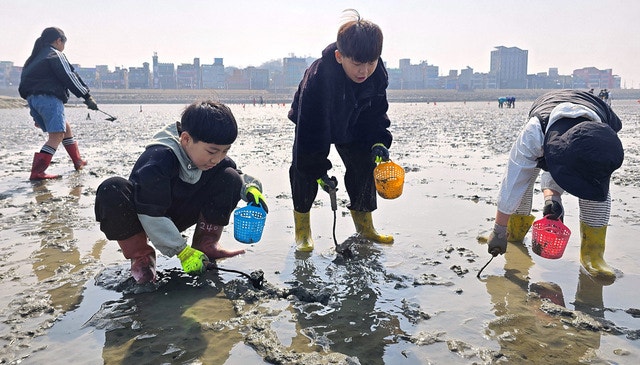 ‘K-갯벌 매력에 풍덩’… 풍부한 체험 선사 오이도 어촌휴양마을