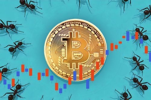 반도체서 코인으로… 1년 새 확 바뀐 서학개미 ‘픽’