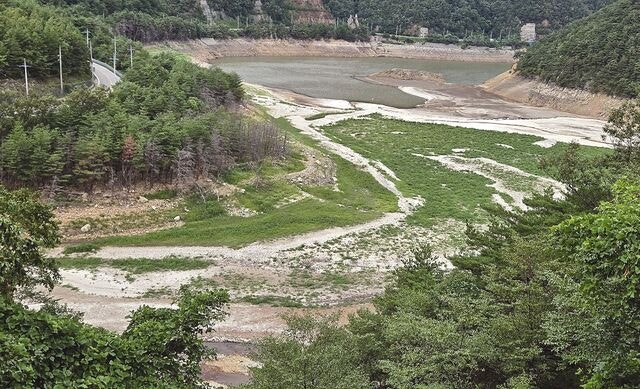 ‘극한 가뭄’에 강릉 ‘무기한 제한급수’… 삶 전체가 ‘비상’