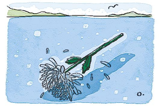 ‘<b>이태원</b> 트라우마’로 숨진 <b>소방관</b> 경남에도 <b>있었다</b>