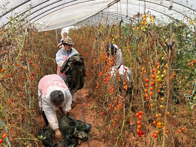 수해 복구·자립 지원·도시락 나눔… 지역사회 품는 복음 실천