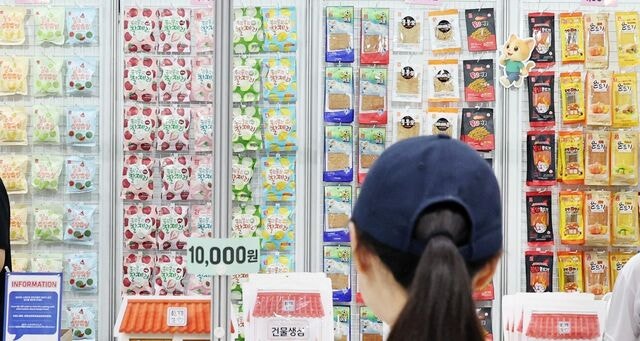 [포토] 군침 도는 K-푸드페스타