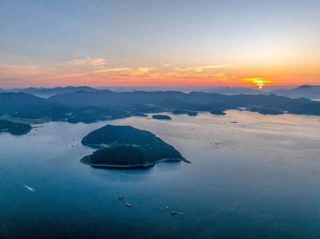 ‘힐링海’ 경남 고성의 이색 풍경… 노을 물든 바다 위에 자줏빛 ‘사랑’이 떠 있네