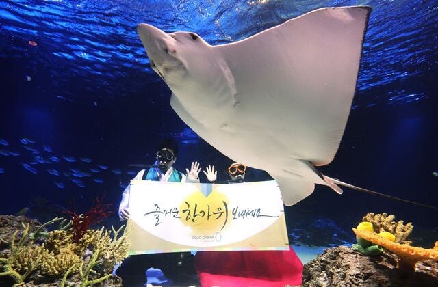 [포토] 즐거운 한가위 보내세요