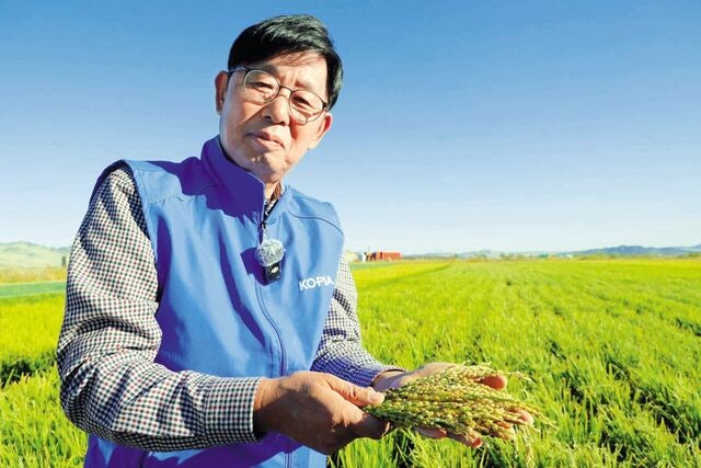 몽골 땅 40년 만에 벼가 자랐다