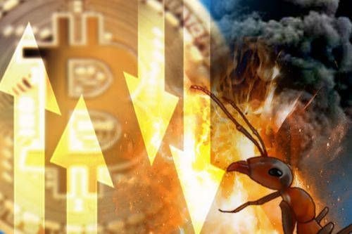 상장 첫날 급등 뒤 폭락했다  투자자 위험 커지는 알트코인