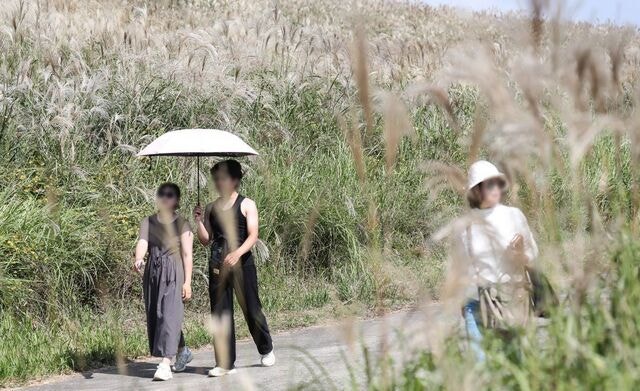 10월에 서귀포 ‘열대야’… 늦더위 이어지는 제주