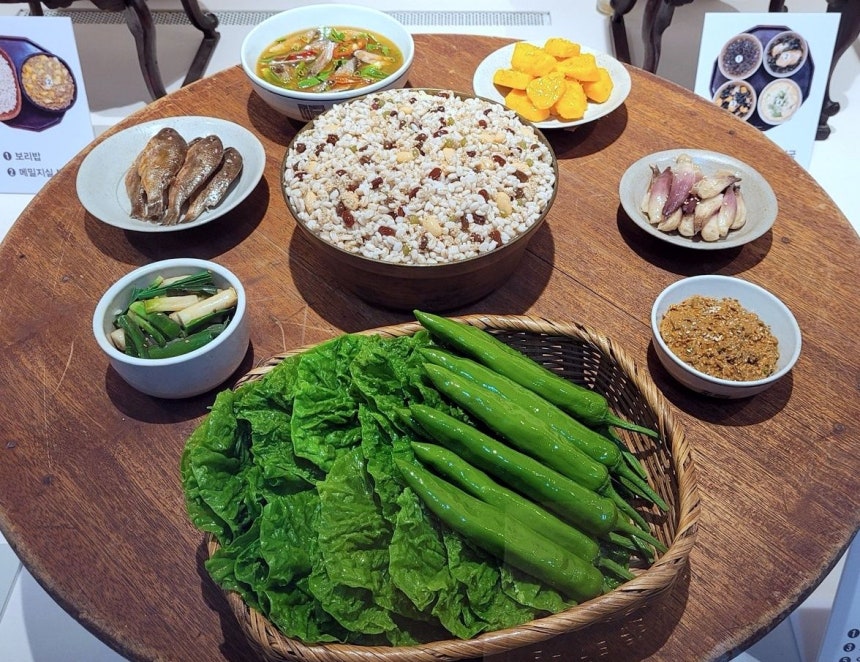 제주 텃밭 하나면 몇 끼 식사 뚝딱이라니?!