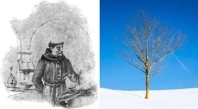 ‘하나님의 임재 연습’ 저자 로렌스 형제가 프랑스 파리의 카르멜 수도원 부엌에서 일하는 모습이 담긴 삽화(왼쪽). 그의 회심에 영향을 미친 겨울 나목 이미지.위키미디어 커먼즈, 게