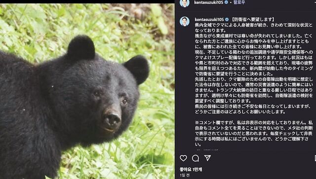 ‘곰 습격 피해’ 日 아키타현 “자위대 파견해달라”