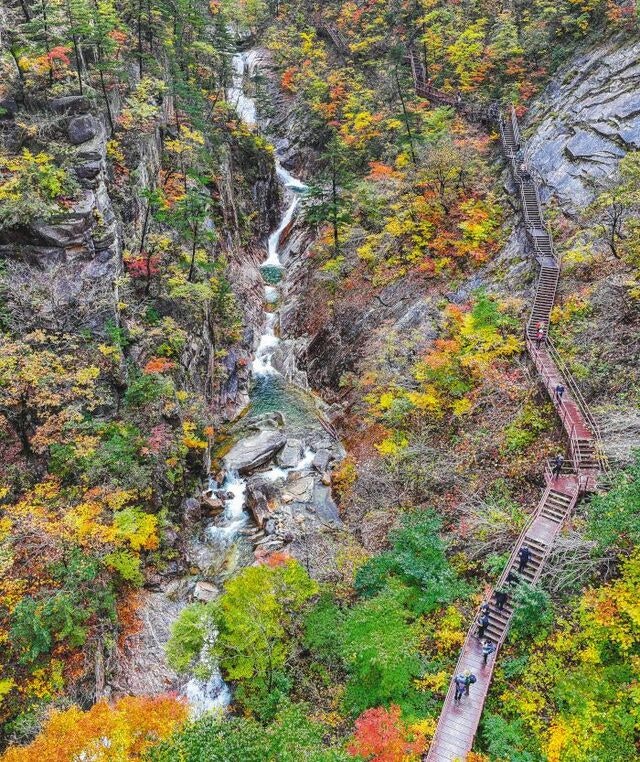 ‘단풍 절정’ 설악산 천불동 계곡… 기암괴석 사이 만산홍엽… 걸어서 수채화 속으로