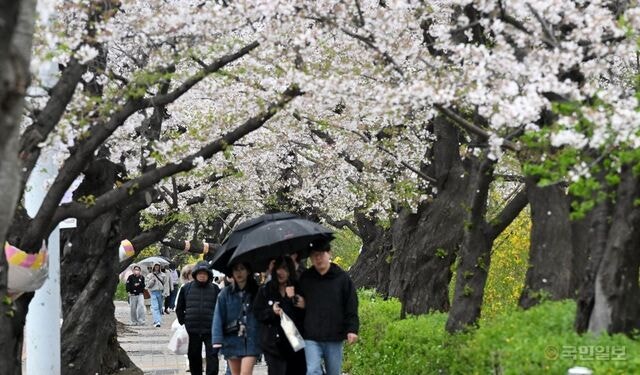 기후변화에 봄철 관광 성수기 5월서 3~4월로 이동