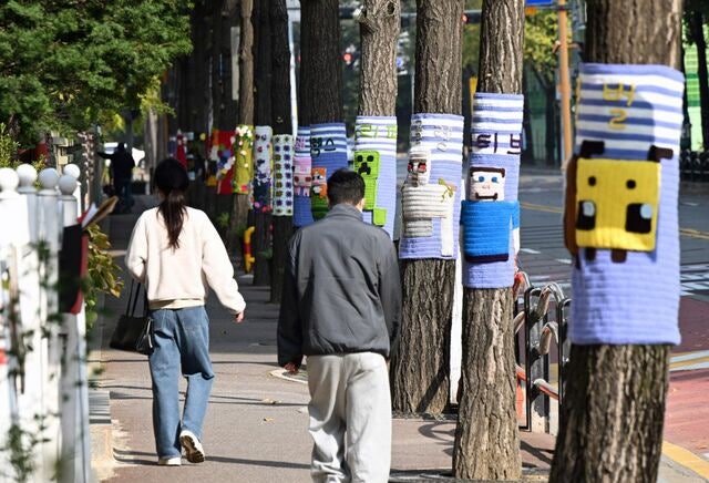 [포토] 나무에 입혀진 뜨개옷