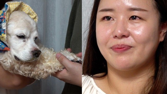 버려진 후암이에게 6년의 행복을 선물한 부부와 익명 후원자들