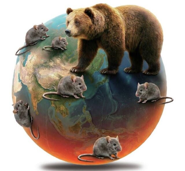 들끓는 쥐떼·휘젓는 불곰… 따뜻해진 지구의 경고