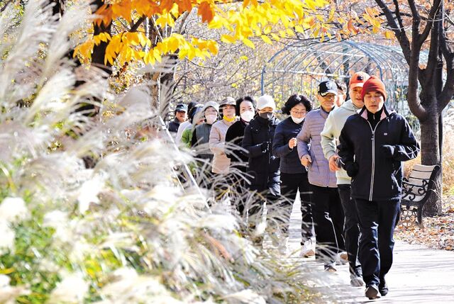 걷기와는 다르다… 60·70대도 ‘느리게 달리기’