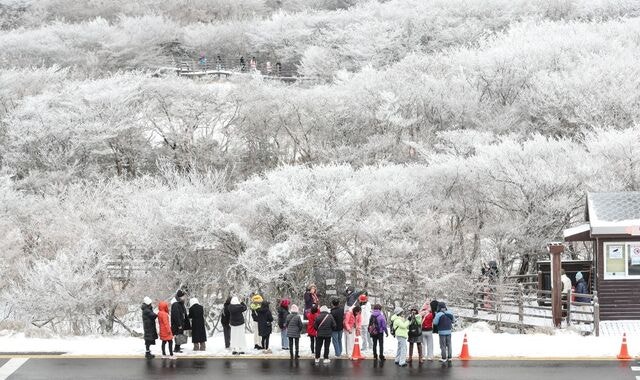 [포토] 한라산에 열린 설국