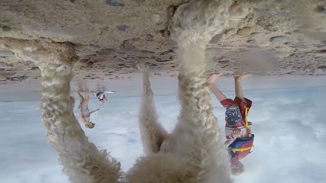 전지적 참犬시점… 이 눈에 비친 세상은 어떤 모습일까