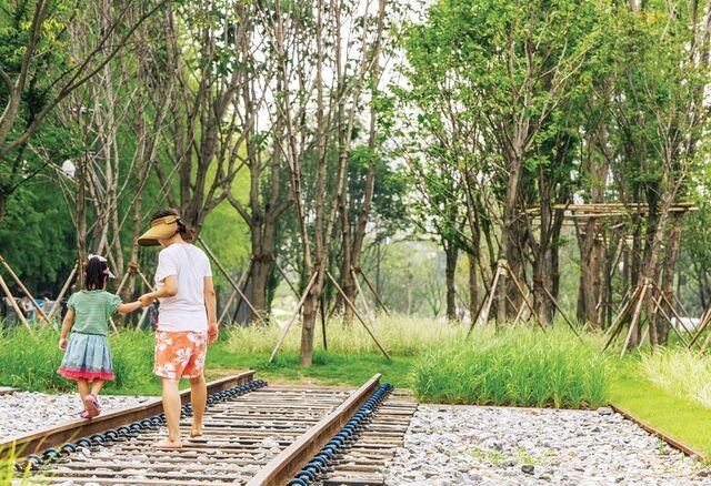 ‘자연’스럽게 변한 도시숲
