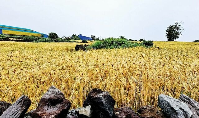 안식, 하나님 나라의 초대장