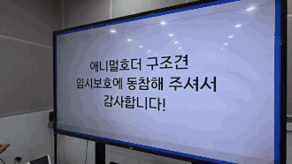 2주 임시보호를 마친 뒤 일부는 실내 생활에 적응해 가정견으로 견생역전에 성공했다.F5는 2주 임보 뒤 보호자가 입양을 결정해 현재 행복이라는 이름으로 살고 있다.M50 체스는 청년 임보자의 품에서 지내며 입양을