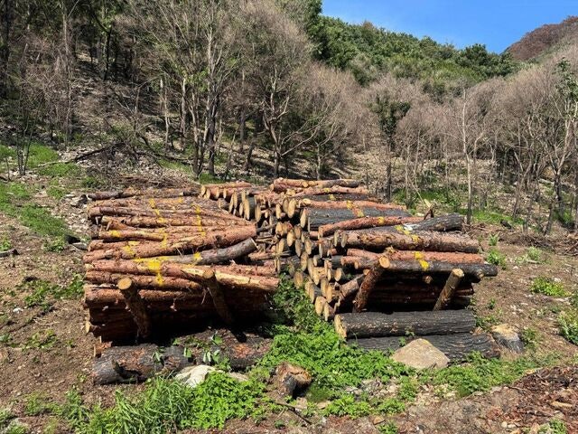 경북 산불 피해지역 ‘종합 복구·재건 대책’ 구체적 성과