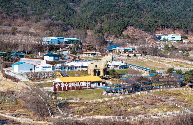 승마 체험을 할 수 있는 레저 시설과 말 박물관 등 문화 시설, 여기에 숙박 시설까지 갖춘 복합문화공간 장수승마레저파크의 전경.