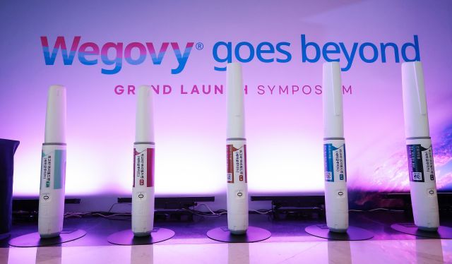 위고비 주사 모형. 연합뉴스