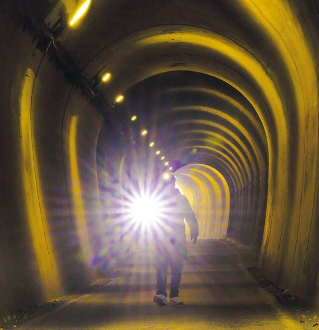 [포토 카페] 빛을 향한 발걸음