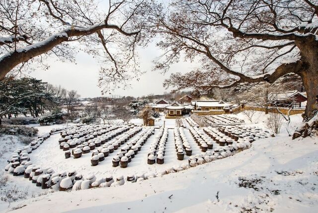 서해안 이색 설경 명소… 장독대에도, 옛 읍성에도… 순백의 설원