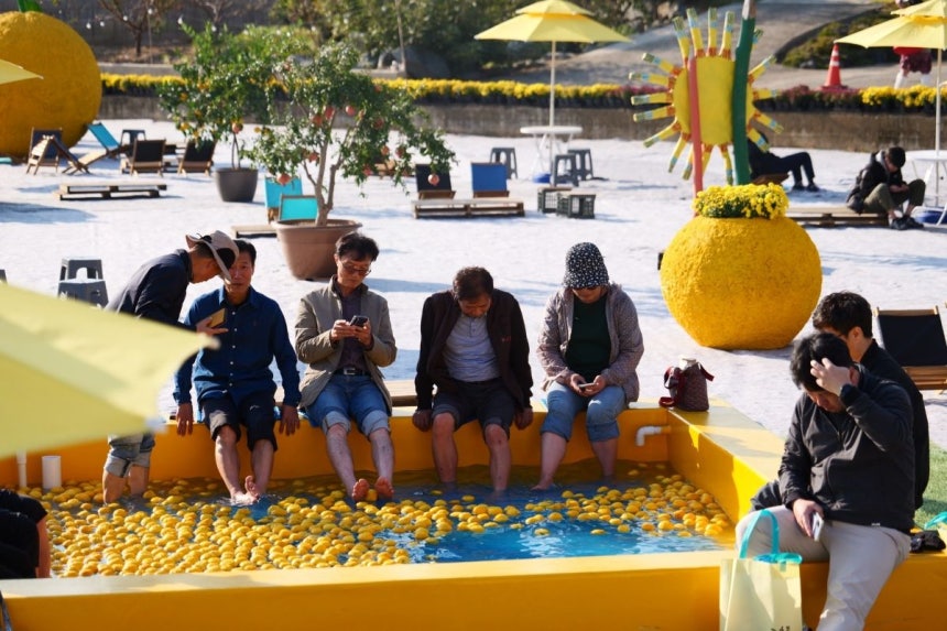 고흥유자축제.전남도 제공