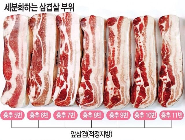 비계 삼겹살, 앞으로 ‘돈차돌’로 팔린다… 지방 함량 따라 명칭 세분화
