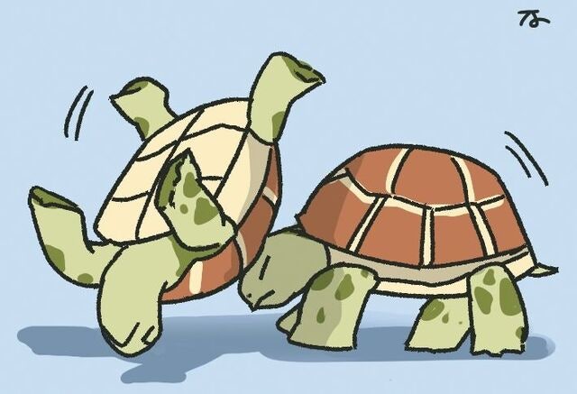 [겨 자씨] 다시 돌아온 거북이