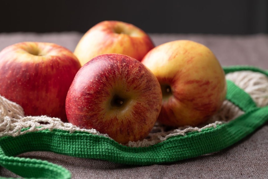 기사 이해를 돕기 위한 이미지로,내용과 직접적인 연관은 없습니다.게티이미지뱅크