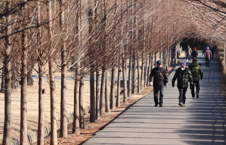 시민들이 3일 부산 남구 대연수목전시원 산책로를 걷고 있다. 연합뉴스