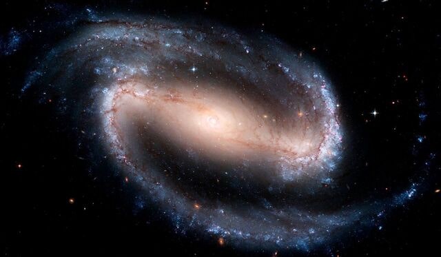 [이명희의 그래도] 오묘한 우주·치밀한 DNA… 설계자 없이 존재할 수 없다