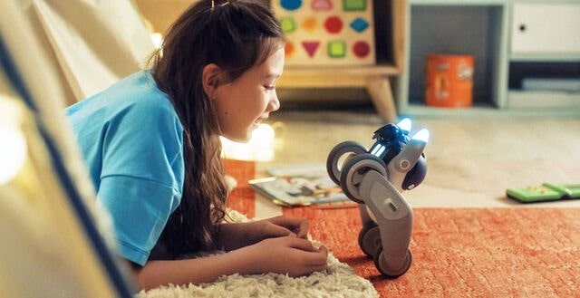 반려동물 대신 반려로봇… 대화 나누고 산책도 같이