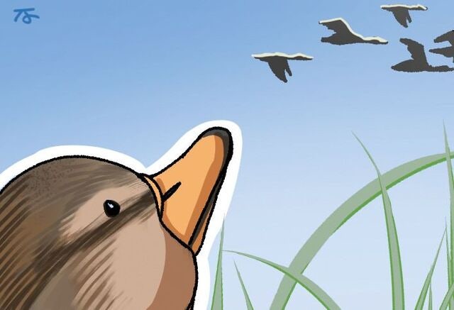 [겨자씨] 크리스천의 영적 다이어트