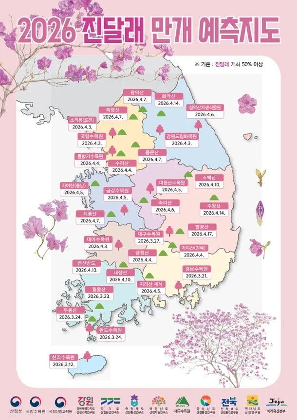 진달래 4월 3일, 벚꽃 4월 7일 만개… 산림청 예측 발표